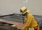 Training- (12)